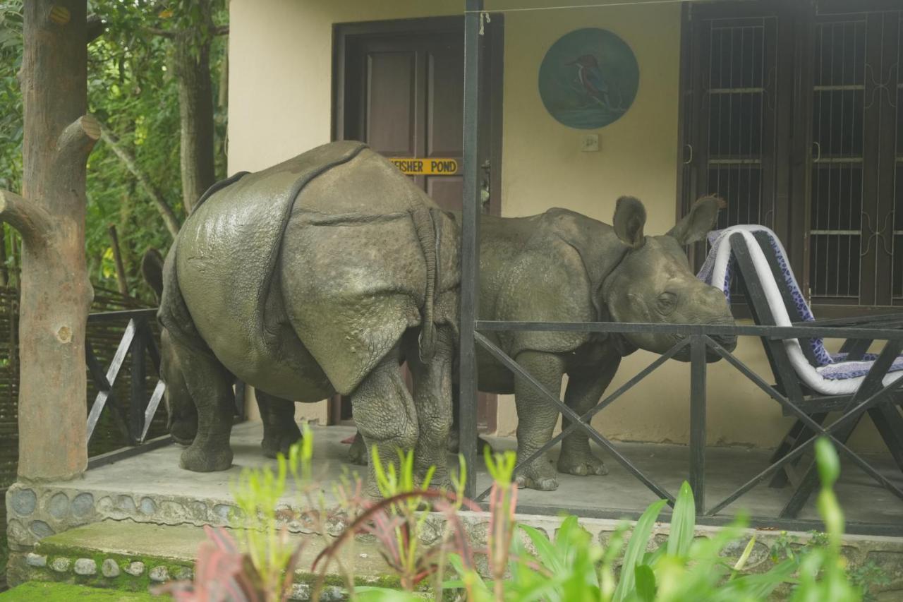 סאורהה Chitwan Gaida Lodge - Animal Lovers & Birdwatchers Paradise מראה חיצוני תמונה