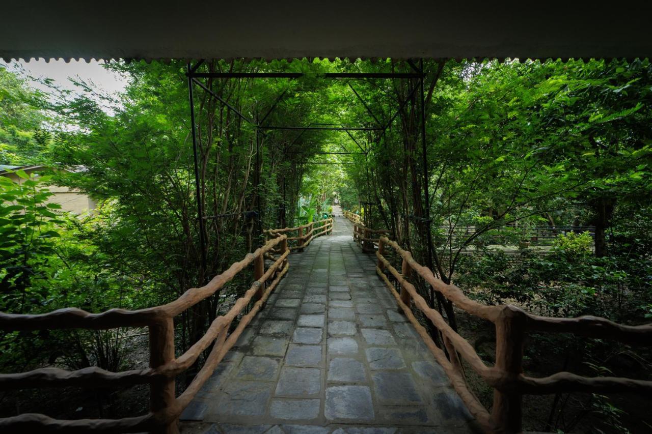 סאורהה Chitwan Gaida Lodge - Animal Lovers & Birdwatchers Paradise מראה חיצוני תמונה