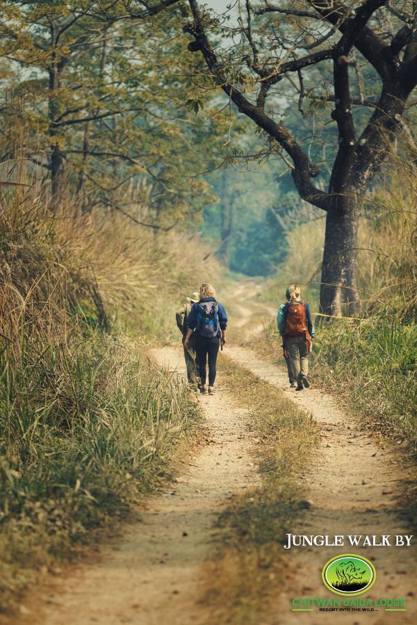 סאורהה Chitwan Gaida Lodge - Animal Lovers & Birdwatchers Paradise מראה חיצוני תמונה