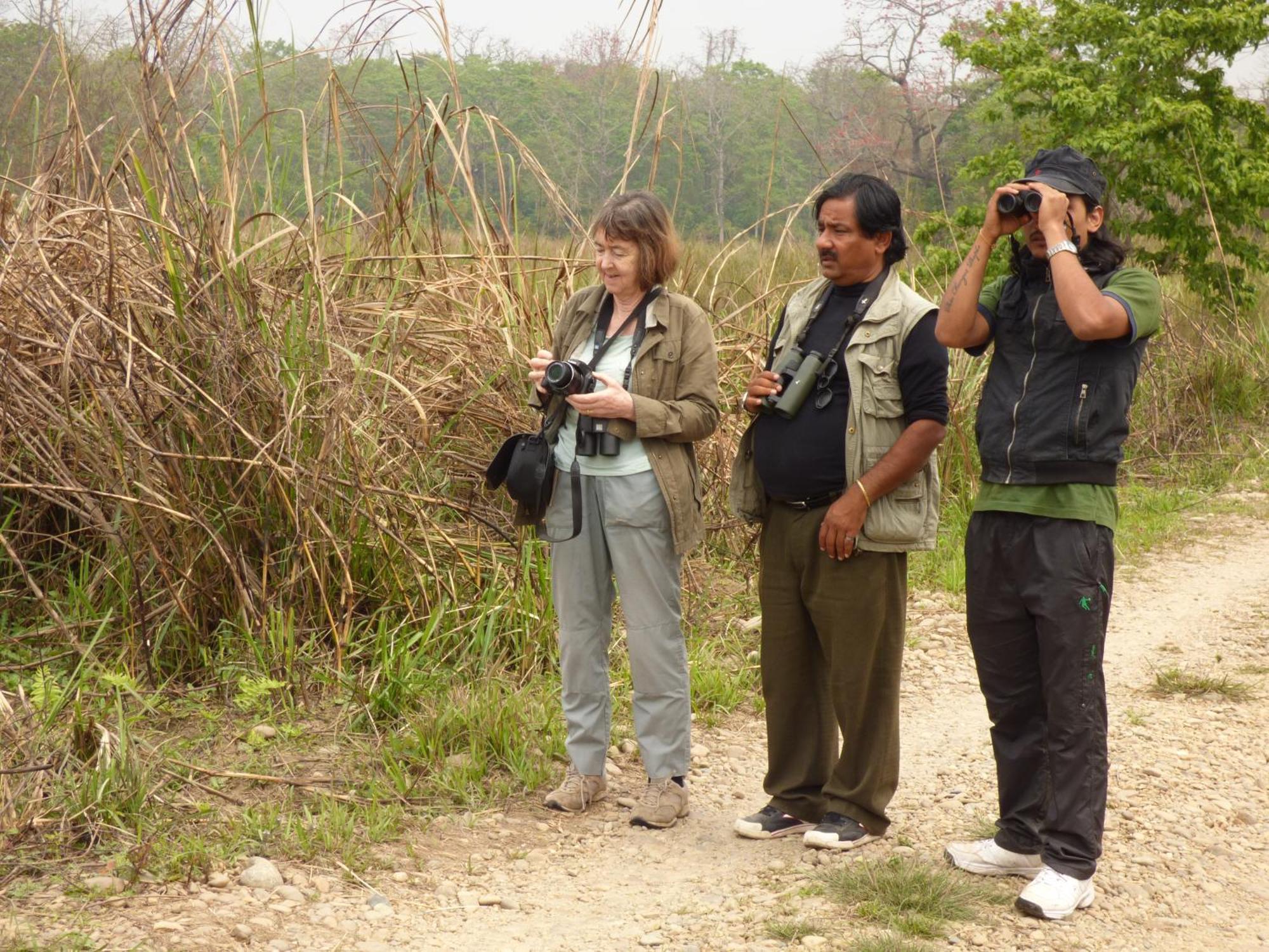 סאורהה Chitwan Gaida Lodge - Animal Lovers & Birdwatchers Paradise מראה חיצוני תמונה