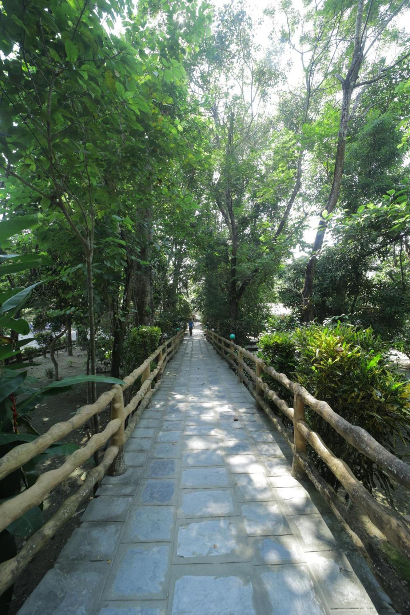 סאורהה Chitwan Gaida Lodge - Animal Lovers & Birdwatchers Paradise מראה חיצוני תמונה