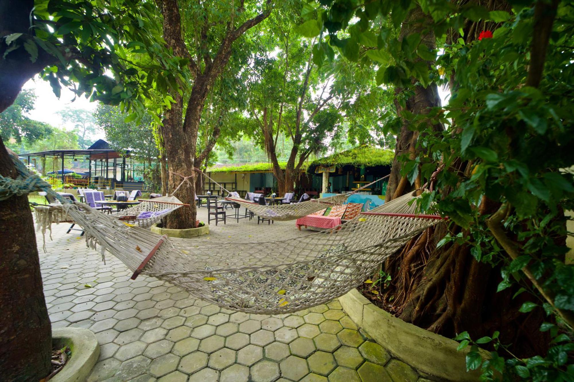 סאורהה Chitwan Gaida Lodge - Animal Lovers & Birdwatchers Paradise מראה חיצוני תמונה